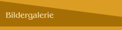 Bildergalerie